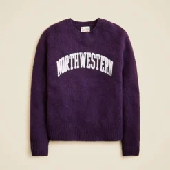 '47 X J.Crew brushed wool Northwestern sweater