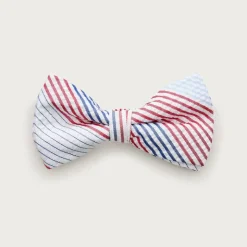 Boys' seersucker bow tie