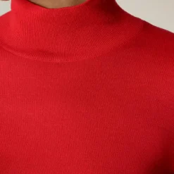 Carolyn turtleneck sweater in merino wool
