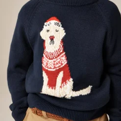 Kids' holiday dog intarsia sweater in cotton