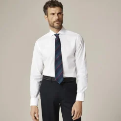 Ludlow Premium fine cotton dress shirt